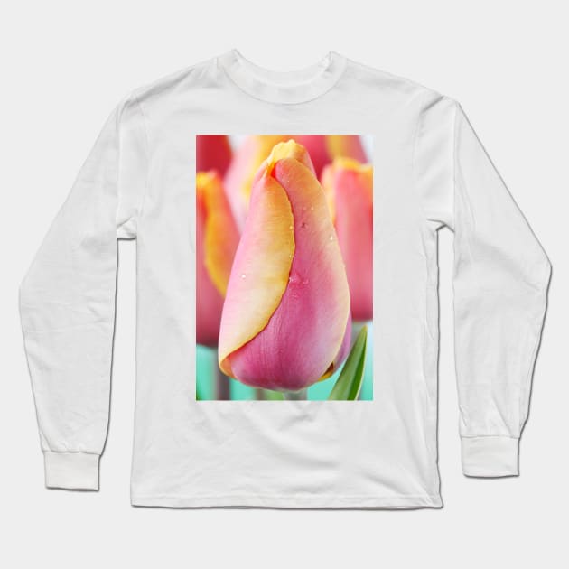 Tulipa  &#39;Indian Summer&#39;  Triumph Group  Tulip Long Sleeve T-Shirt by chrisburrows